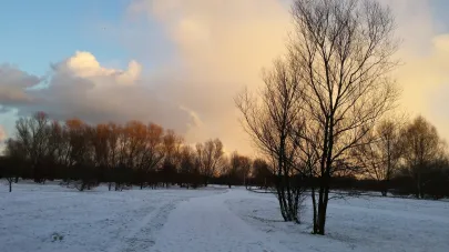 Park Reagana