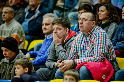 Kibice