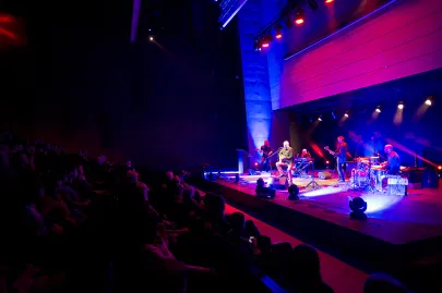 koncert Piotra Bukartyka