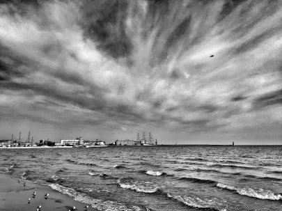 Gdynia - okolice Plaży Miejskiej Dostojność natury