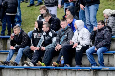 Kibice