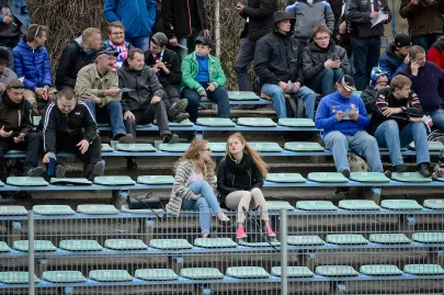 Kibice