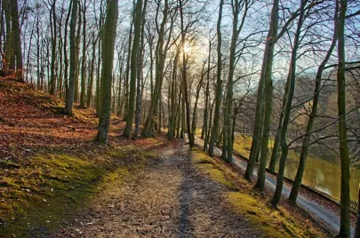 Park powyżej górnego stawu