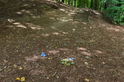 Teren Parku Urszulanek