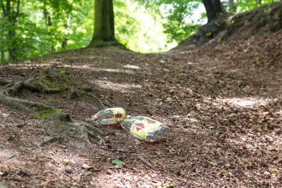 Teren Parku Urszulanek
