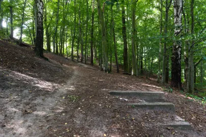 Teren Parku Urszulanek