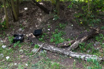 Teren Parku Urszulanek