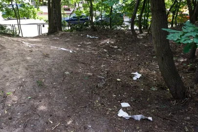 Teren Parku Urszulanek