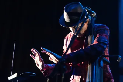 The Tiger Lillies 