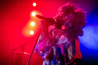 Ebony Bones 