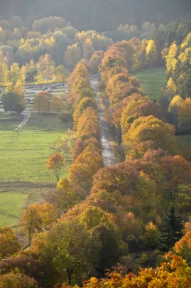 Barwy jesieni