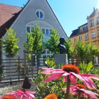 Zdjęcie 2/16 - MK - Medycyna i Kosmetologia Gdańsk