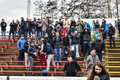 Kibice