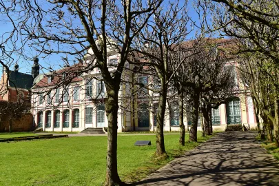 Katedra Oliwska, organy, park