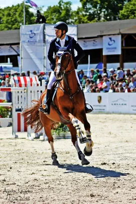 CSIO*****2016 SOPOT