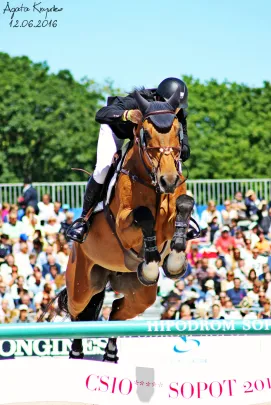 CSIO*****2016 SOPOT