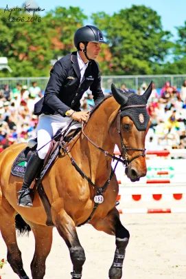 CSIO*****2016 SOPOT