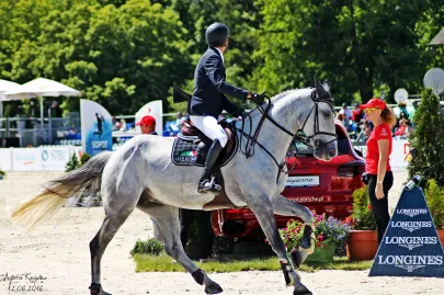 CSIO*****2016 SOPOT