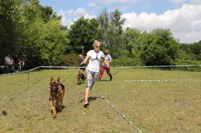 Wystawa Psów Rasowych,Kolibki w Orłowie.