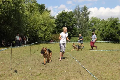 Wystawa Psów Rasowych,Kolibki w Orłowie.