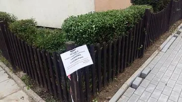 nowy chodnik tylko po znajomosci i dla wybranych