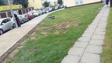 nowy chodnik tylko po znajomosci i dla wybranych