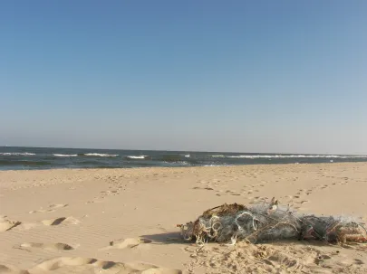 Plaża Stogi