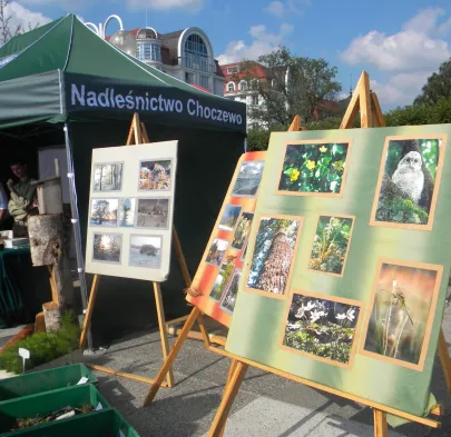 leśna edukacja