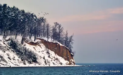 Orłowo zimą