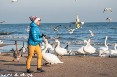 Orłowo Zimą 
