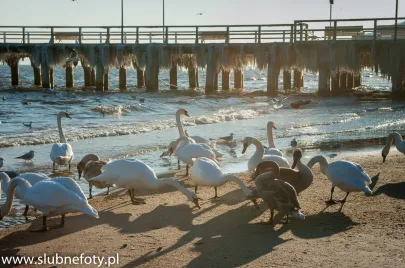 Orłowo Zimą 