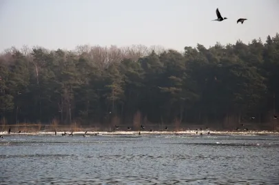 Kajakiem wśród lodowych kier
