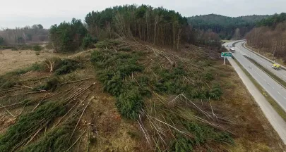 Wycinka drzew przy ul. Słowackiego w Gdańsku