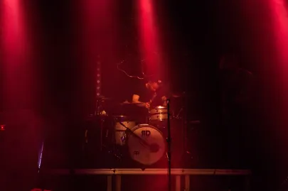 Organek