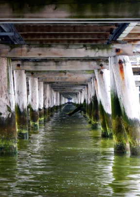 Pod molem, Sopot 