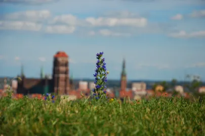 Wiosenny Gdańsk
