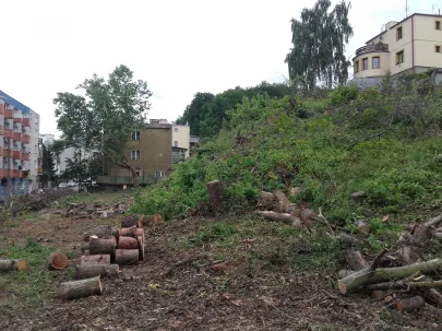 A TAK MIAŁ WYGLĄDAC CAŁY POSPRZĄTANY PARK