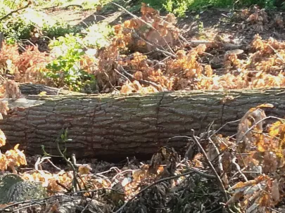 ZOSTAJE NA NAWOZ