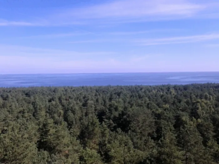 Widok na piękno Wyspy Sobieszewskiej ze szczytu zbiornika wodnego Kazimierz