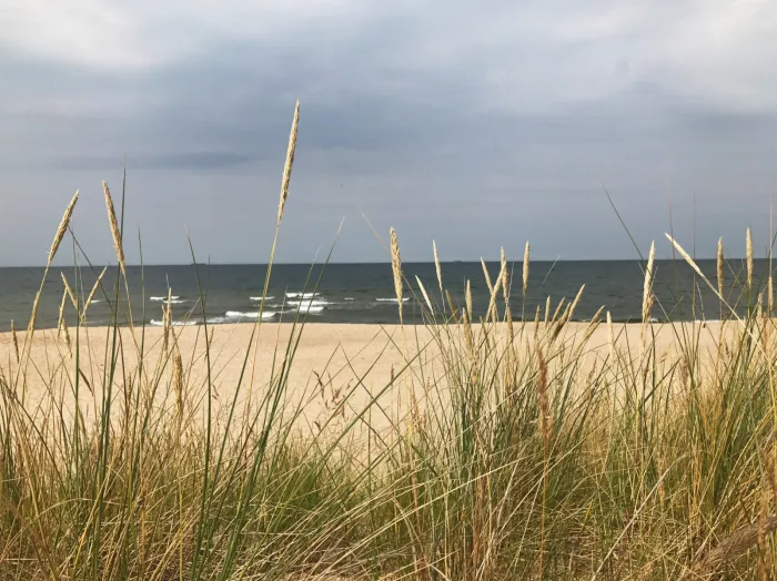 Pusta plaża