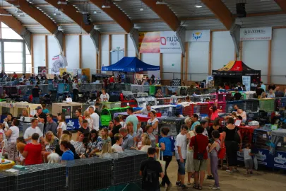 Międzynarodowa Wystawa Kotów Rasowych Sopot 2017