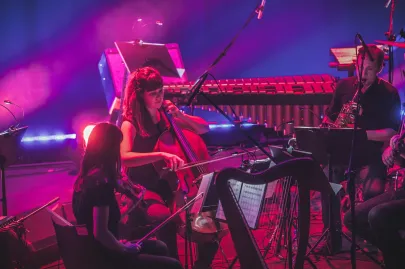 Echo Collective 