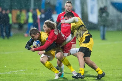 Jędrzej Nowicki