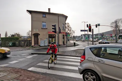 Łoś jadacy po przejściu dla pieszych na czerwonym świetle.