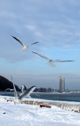 Gdynia