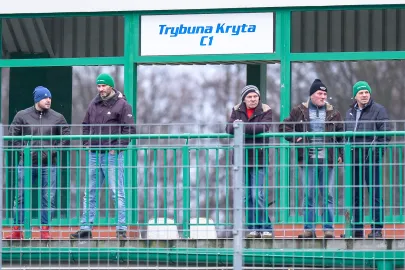 Kibice