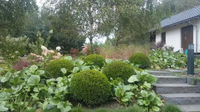 Ogród wtopiony w naturę