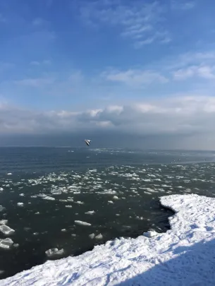 Arktyczna Gdynia