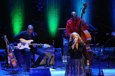 Rok Jana Heweliusza: Cassandra Wilson