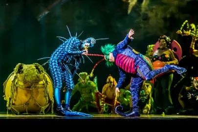Cirque du Soleil OVO
